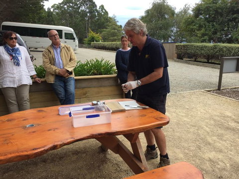 Bruny Island All Inclusive Gourmet Day Trip From Hobart - Accommodation Adelaide 17