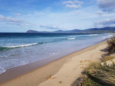 Bruny Island All Inclusive Gourmet Day Trip From Hobart - Accommodation Adelaide 6
