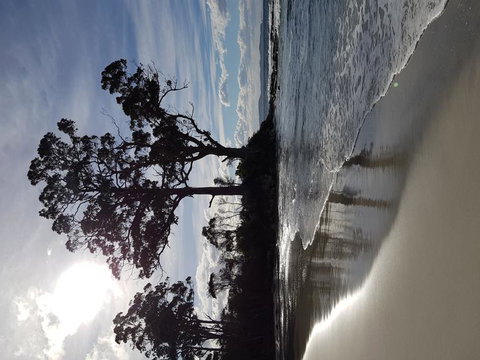 Bruny Island All Inclusive Gourmet Day Trip From Hobart - Accommodation Adelaide 5