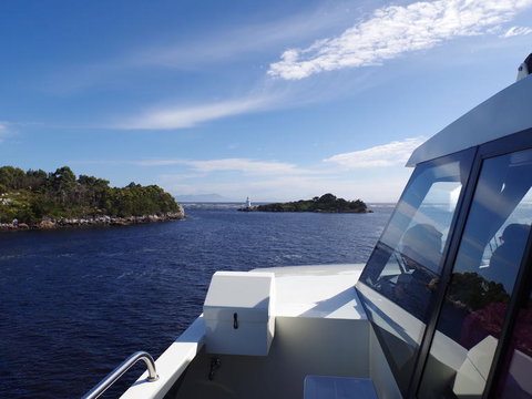 5-Day Best Of Tasmania Tour From Hobart - Accommodation Adelaide 3