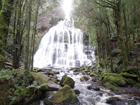 5-Day Best Of Tasmania Tour From Hobart - Accommodation Adelaide 2