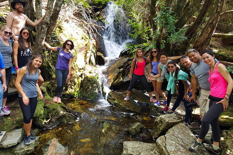 5-Day Best Of Tasmania Tour From Hobart - Accommodation Adelaide 9