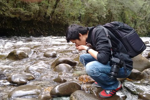 5-Day Best Of Tasmania Tour From Hobart - Accommodation Adelaide 11