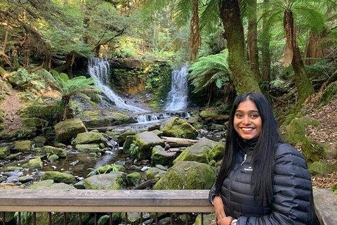 Day Tour In Mt. Field, Mt. Wellington, Bonorong Wildlife Sanctuary And Richmond - Accommodation Adelaide 4