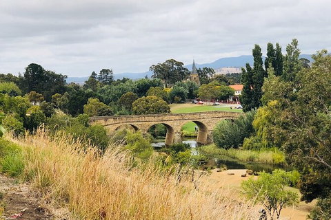 Day Tour In Mt. Field, Mt. Wellington, Bonorong Wildlife Sanctuary And Richmond - Accommodation Adelaide 6