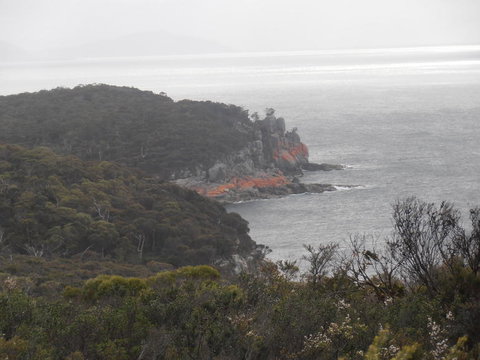 Wineglass Bay And Freycinet National Park Active Day Trip From Hobart - Accommodation Adelaide 5