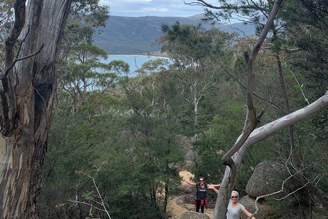 Wineglass Bay And Freycinet National Park Active Day Trip From Hobart - Accommodation Adelaide 14
