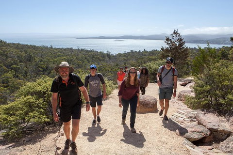 Wineglass Bay And Freycinet National Park Active Day Trip From Hobart - Accommodation Adelaide 26