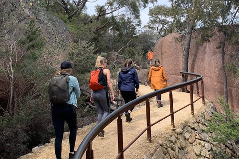 Wineglass Bay And Freycinet National Park Active Day Trip From Hobart - Accommodation Adelaide 25