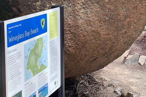 Wineglass Bay And Freycinet National Park Active Day Trip From Hobart - Accommodation Adelaide 35