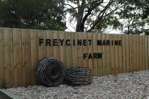 Wineglass Bay And Freycinet National Park Active Day Trip From Hobart - Accommodation Adelaide 20