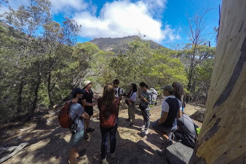 Wineglass Bay And Freycinet National Park Active Day Trip From Hobart - Accommodation Adelaide 9