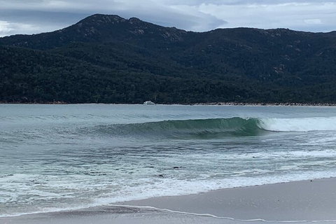Wineglass Bay And Freycinet National Park Active Day Trip From Hobart - Accommodation Adelaide 17