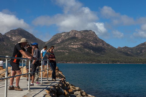 Wineglass Bay And Freycinet National Park Active Day Trip From Hobart - Accommodation Adelaide 30