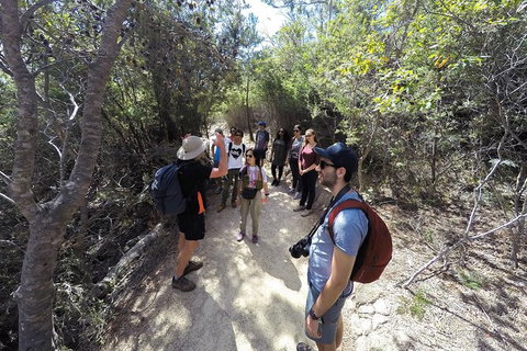 Wineglass Bay And Freycinet National Park Active Day Trip From Hobart - Accommodation Adelaide 19