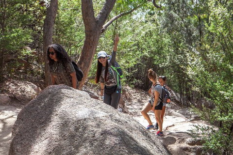 Wineglass Bay And Freycinet National Park Active Day Trip From Hobart - Accommodation Adelaide 22