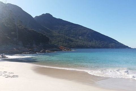 Wineglass Bay And Freycinet National Park Active Day Trip From Hobart - Accommodation Adelaide 10