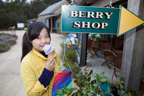 Wineglass Bay And Freycinet National Park Active Day Trip From Hobart - Accommodation Adelaide 11