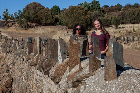 Wineglass Bay And Freycinet National Park Active Day Trip From Hobart - Accommodation Adelaide 8