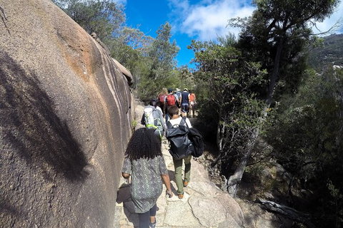 Wineglass Bay And Freycinet National Park Active Day Trip From Hobart - Accommodation Adelaide 21