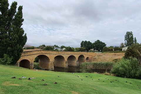 Port Arthur, Richmond And Tasman Peninsula Day Trip From Hobart - Accommodation Adelaide 7