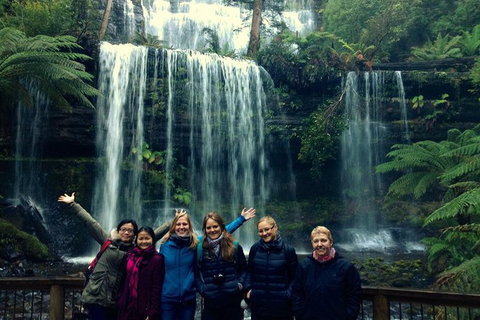 Mt Field National Park Active Day-Trip Including Bonorong And Mt Wellington - Accommodation Adelaide 1