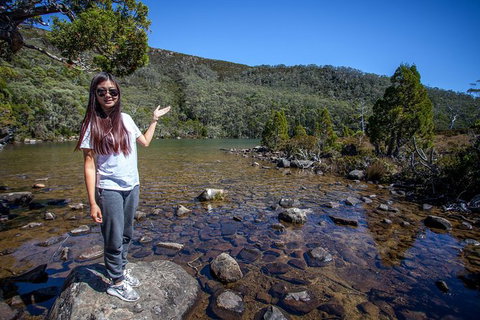 Mt Field National Park Active Day-Trip Including Bonorong And Mt Wellington - Accommodation Adelaide 12