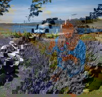 Port Arthur and Lavender Farm Active Day Tour - Accommodation Adelaide