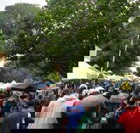 Hobart Half-Day Sightseeing Coach Tram Tour - Accommodation Adelaide