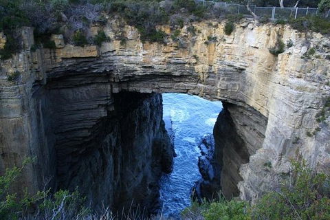Cruise Ship Special From Port Arthur: Explore Tasman Peninsula With Free WiFi - Accommodation Adelaide 0