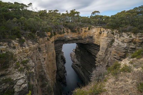 Cruise Ship Special From Port Arthur: Explore Tasman Peninsula With Free WiFi - Accommodation Adelaide 2