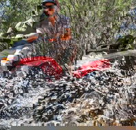 Quad Bike 2-Hour Adventure Freycinet National Park - Accommodation Adelaide