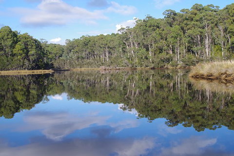 Leven River Picnic Cruise From Ulverstone - Accommodation Adelaide 1