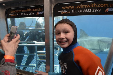 White Shark Tour With Optional Cage Dive From Port Lincoln - Accommodation Adelaide 8