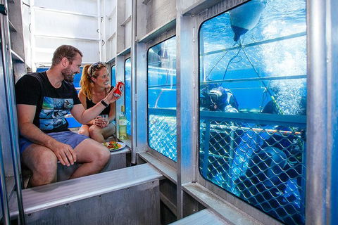 White Shark Tour With Optional Cage Dive From Port Lincoln - Accommodation Adelaide 4