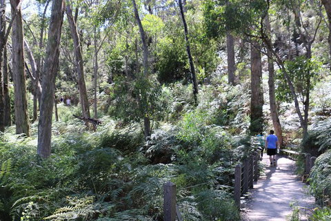 Self-Guided Waterfall Gully To Mount Lofty Hike From Adelaide - Accommodation Adelaide 0