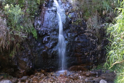 Self-Guided Waterfall Gully To Mount Lofty Hike From Adelaide - Accommodation Adelaide 2