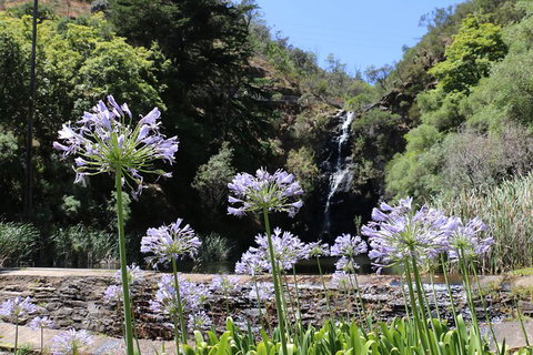 Self-Guided Waterfall Gully To Mount Lofty Hike From Adelaide - Accommodation Adelaide 6