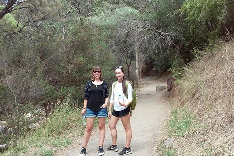 Self-Guided Waterfall Gully To Mount Lofty Hike From Adelaide - Accommodation Adelaide 4