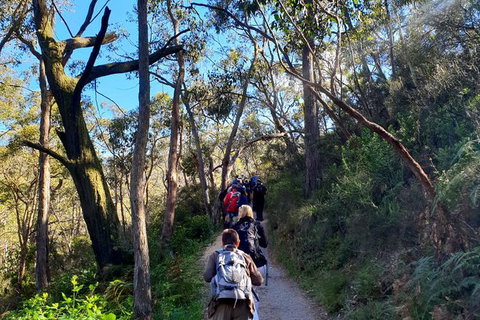Self-Guided Waterfall Gully To Mount Lofty Hike From Adelaide - Accommodation Adelaide 7