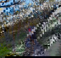 Mount Lofty Hike and Cleland Wildlife Park Day Trip from Adelaide