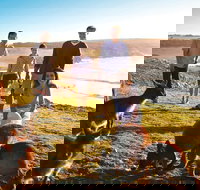 5-Day Adelaide and Kangaroo Island Tour Including Barossa Valley Wine Tasting