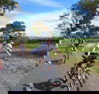 McLaren Vale Wine Tour by Bike