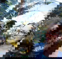 Adelaide Zoo Behind the Scenes Experience Squirrel Monkey Feeding