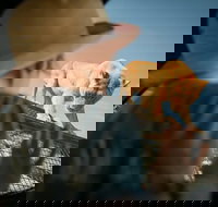 Lions 360 Experience and a Day at Monarto Safari Park