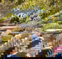 Adelaide Zoo Behind the Scenes Experience Panda and Friends Tour