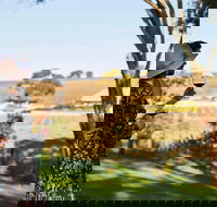 Micro-Group McLaren Vale Wine Tour from Adelaide