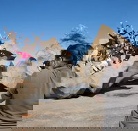 2-Day Kangaroo Island Adventure Tour from Adelaide