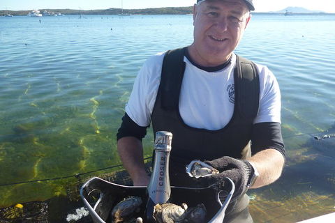 Coffin Bay Oyster Farm & Tasting Tour - Accommodation Adelaide 0
