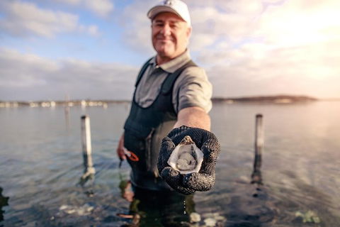 Coffin Bay Oyster Farm & Tasting Tour - Accommodation Adelaide 3